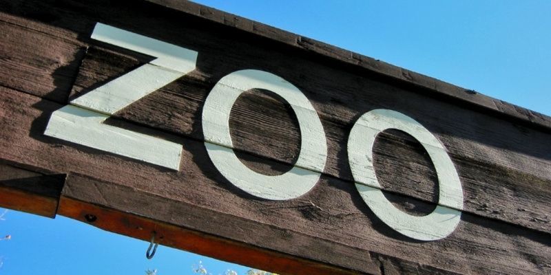 How a Zookeeper Diploma Course Can Transform Your Career